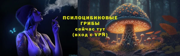 ГАЛЛЮЦИНОГЕННЫЕ ГРИБЫ Абдулино