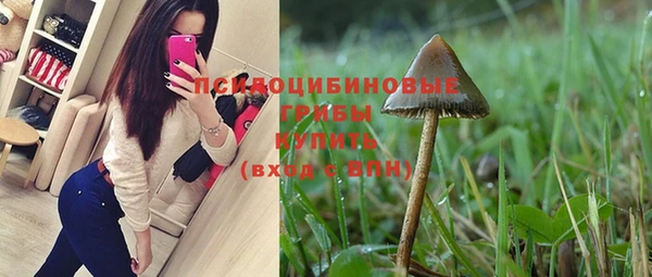 мдпв Киренск