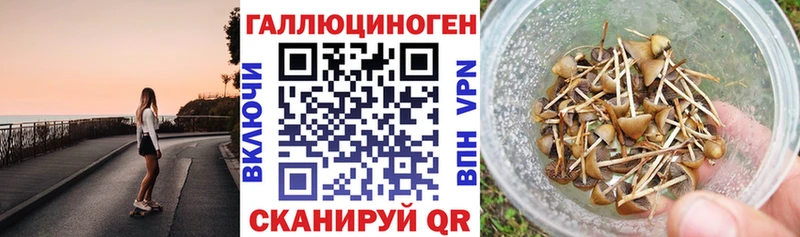 Псилоцибиновые грибы Psilocybine cubensis Электроугли